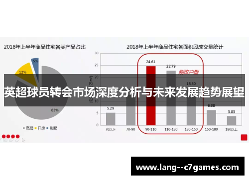 英超球员转会市场深度分析与未来发展趋势展望
