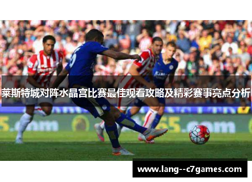 莱斯特城对阵水晶宫比赛最佳观看攻略及精彩赛事亮点分析