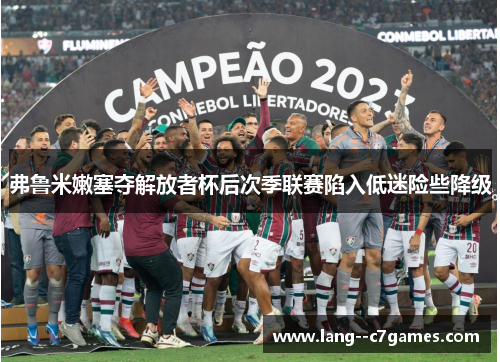弗鲁米嫩塞夺解放者杯后次季联赛陷入低迷险些降级
